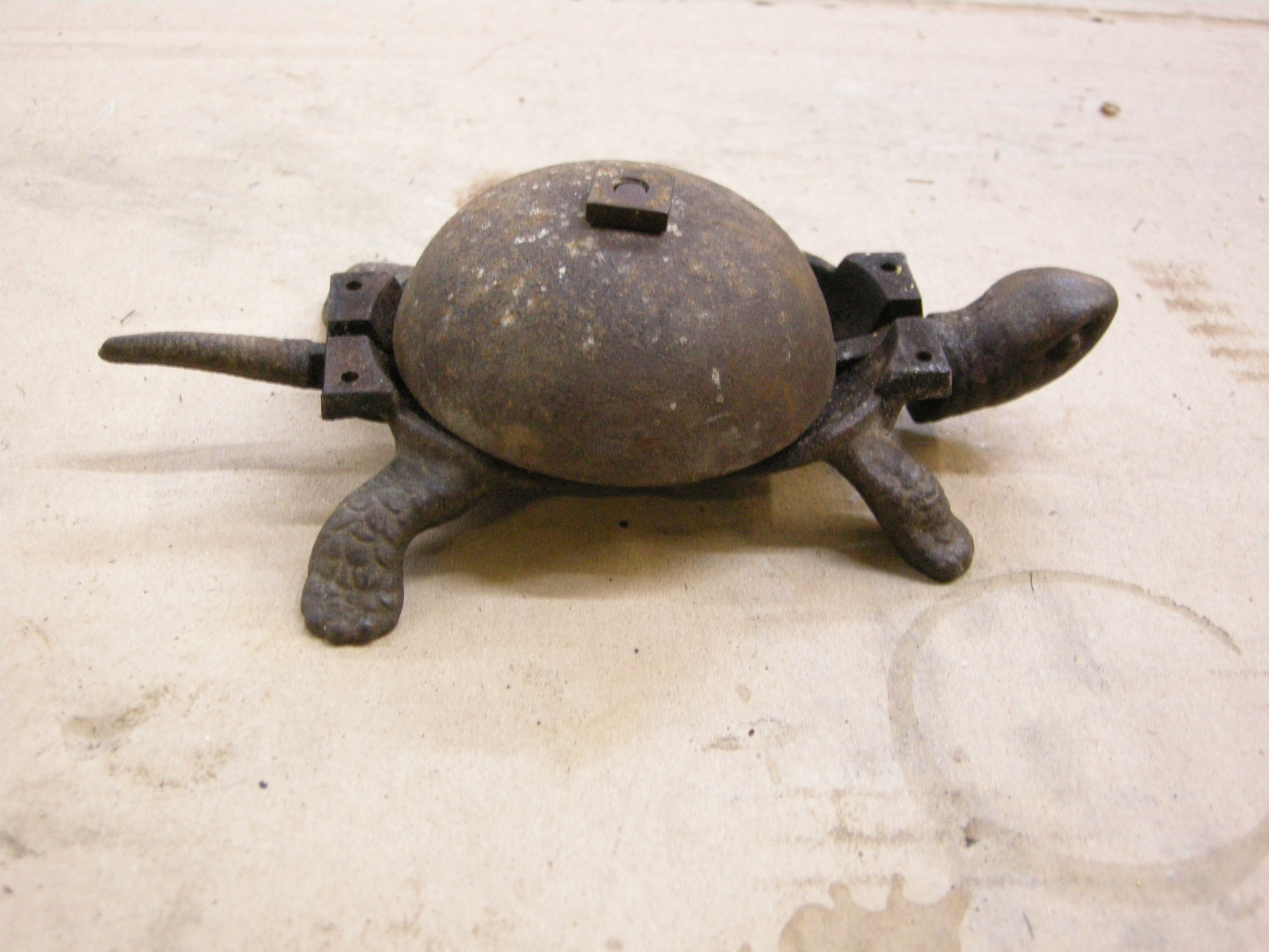 Tortoise table bell without shell